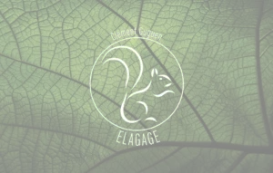 création logo élagage écureuil design épuré aveyron Nauviale Rodez Marcillac Vallon Decazeville